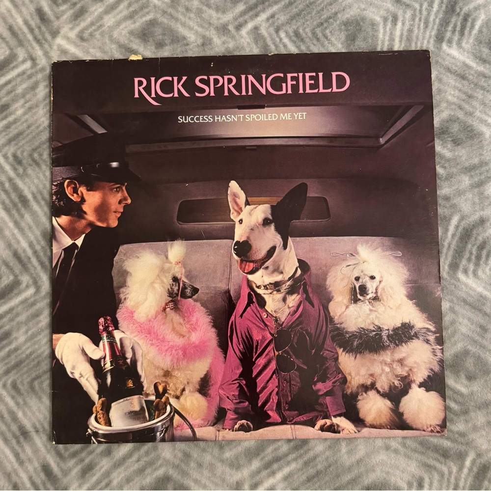 Vintage Rick Springfield “Success Hasn’t Spoiled Me Yet” Vinyl Record